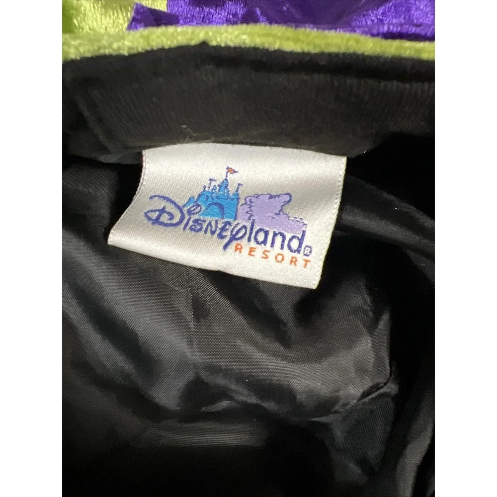 Disneyland Resort Groovy Goofy‎ Hat Green Purple